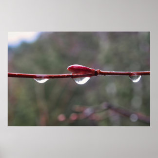 After the Rain Poster