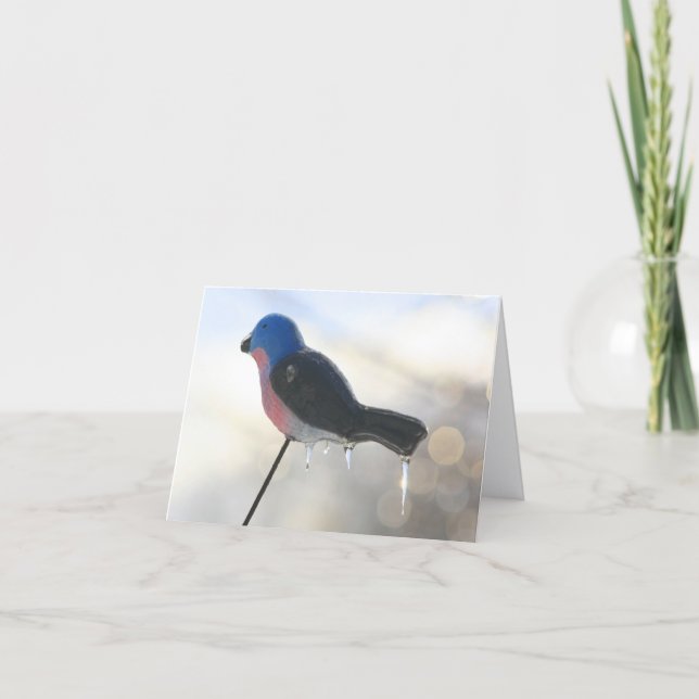 After The Storm Winter Nature Photography Note Kort (Framsida)