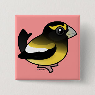 AftonGrosbeak Knapp
