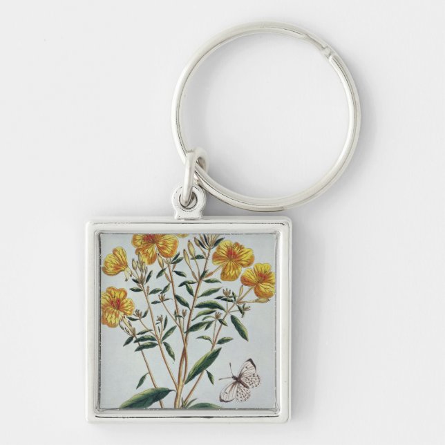 Aftonprimrosen, pläterar 73 från 'samlingen Precie Fyrkantig Silverfärgad Nyckelring (Framsidan)