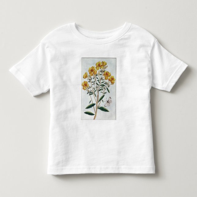 Aftonprimrosen, pläterar 73 från 'samlingen Precie Tee (Framsida)