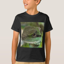 Agama, ödla