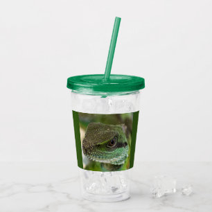 Agama, ödla take away mugg