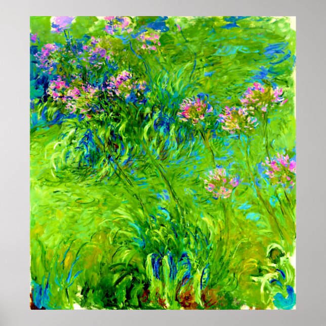 Agapanthus av Claude Monet Poster (Framsidan)