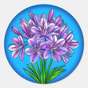Agapanthus-blomma Runt Klistermärke