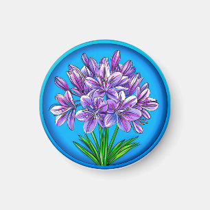 Agapanthus Blommar 🌸✨ Djärv Blå Blommig Elegans Magnet