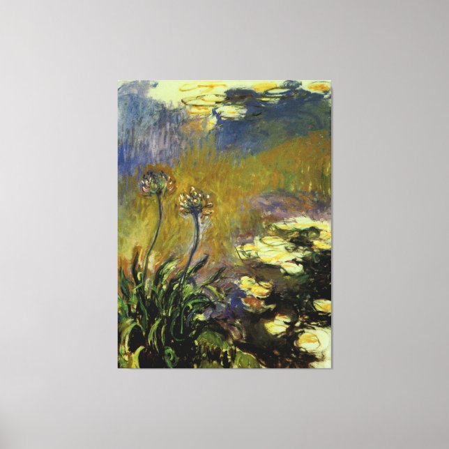 Agapanthus Canvastryck (Framsida)