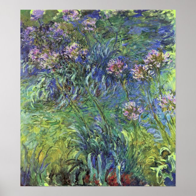 Agapanthus Flowers av Claude Monet Poster (Framsidan)