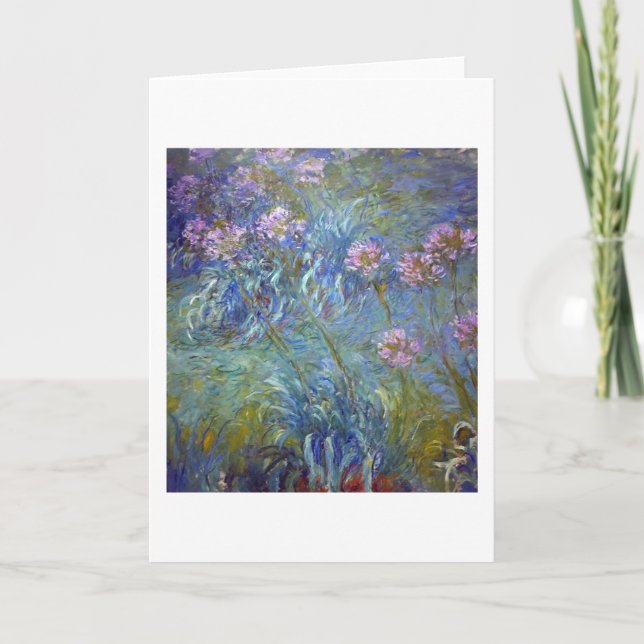Agapanthus, Monet Kort (Framsida)