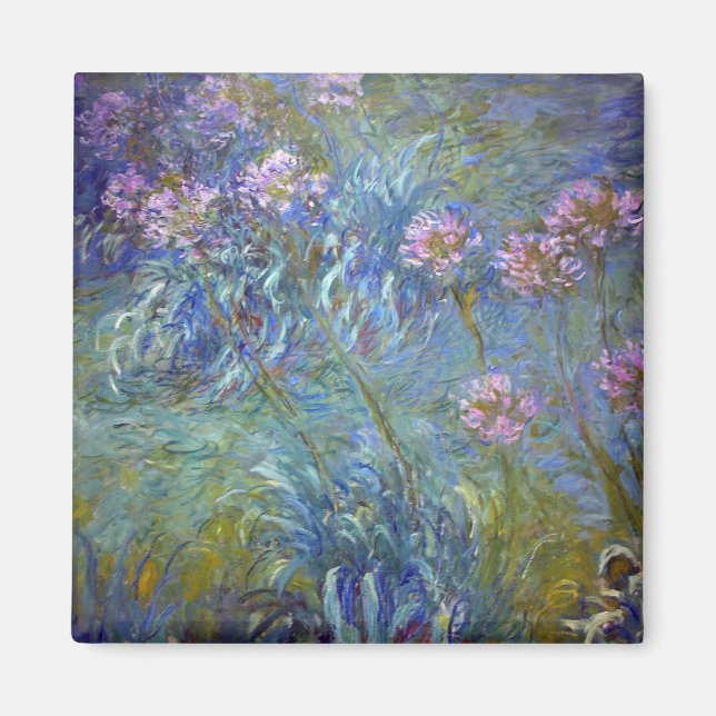 Agapanthus, Monet Magnet (Framsidan)