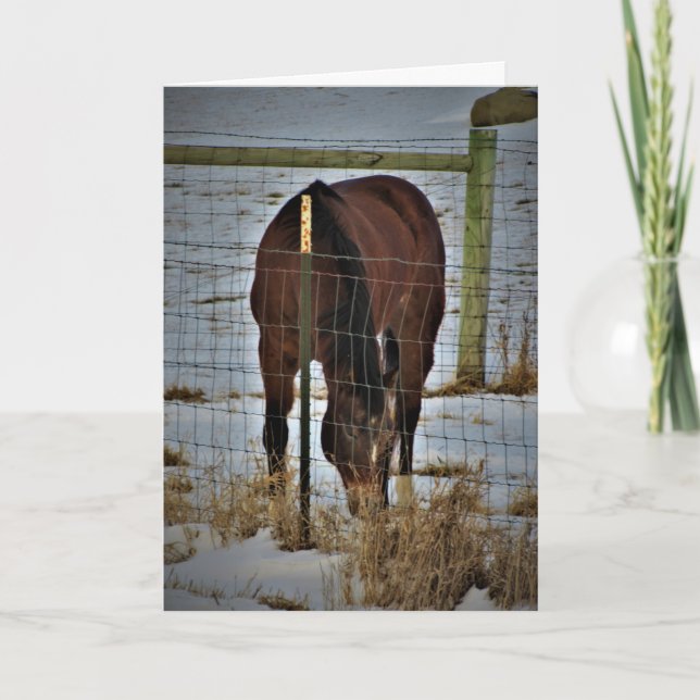 "Agape Acres"-födelsedagskort Kort (Framsida)