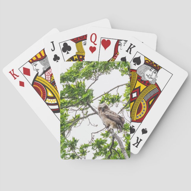 Ägare på en aple Träd Gren Casinokort (Baksidan)
