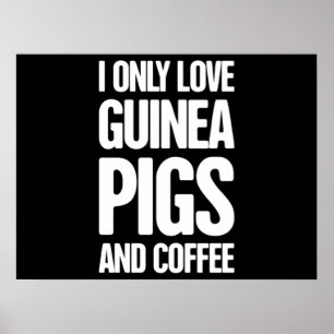 Ägare till Pet Guinea Gris Guinea Gris Poster