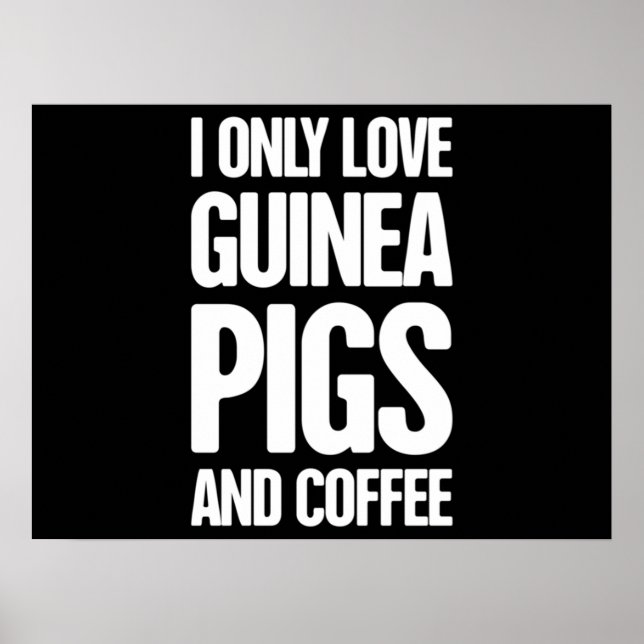 Ägare till Pet Guinea Gris Guinea Gris Poster (Framsidan)