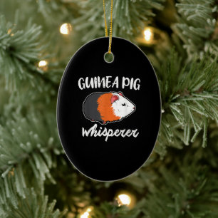 Ägargåva från gris till söta sällskapsdjur, k julgransprydnad keramik