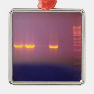 AgaroseGelElectrophoresis Julgransprydnad Metall