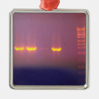 AgaroseGelElectrophoresis Julgransprydnad Metall