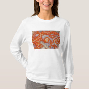 Agaten tar prov tee shirt