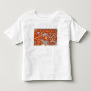 Agaten tar prov tee shirt