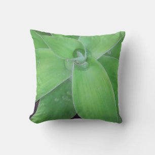 Agave and Raindrops Kudde