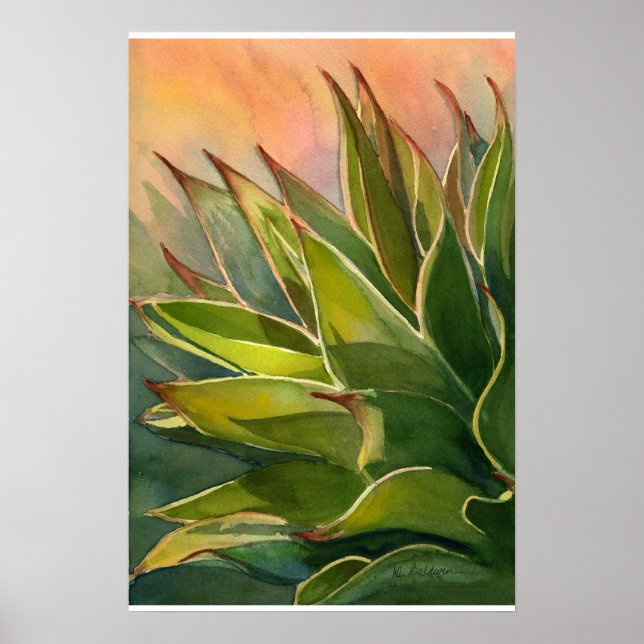 Agave attenuata poster (Framsidan)