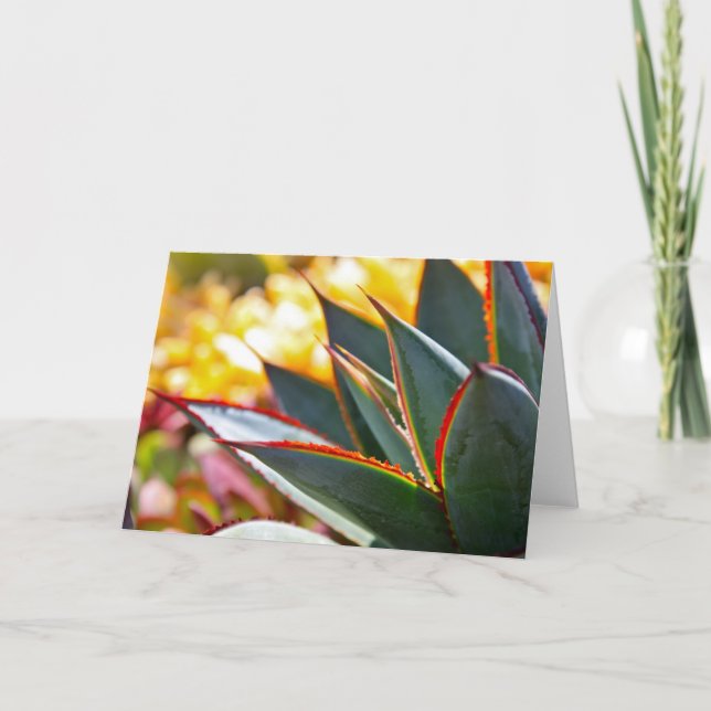 Agave "blåttglöd" noterar kortet av Debra Lee Kort (Framsida)