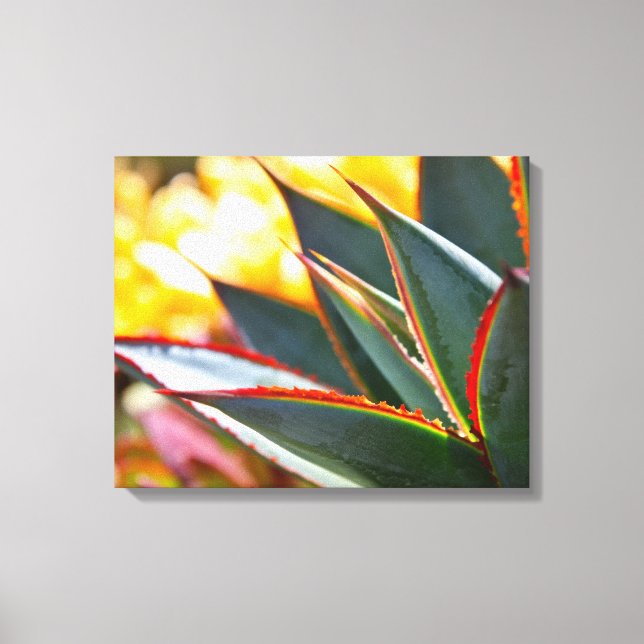 Agave 'Blue Glow' av Debra Lee Baldwin Canvastryck (Framsida)