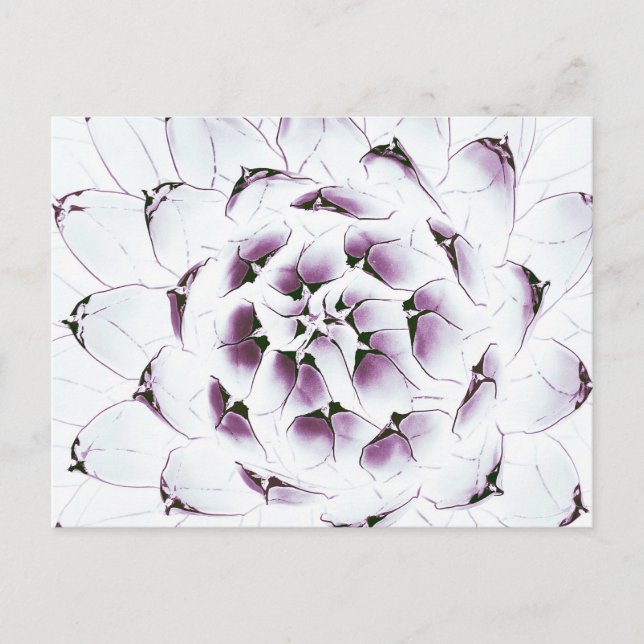 Agave Cactus vycard Vykort (Framsida)