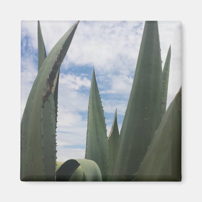 Agave Clouds Magnet (Framsidan)
