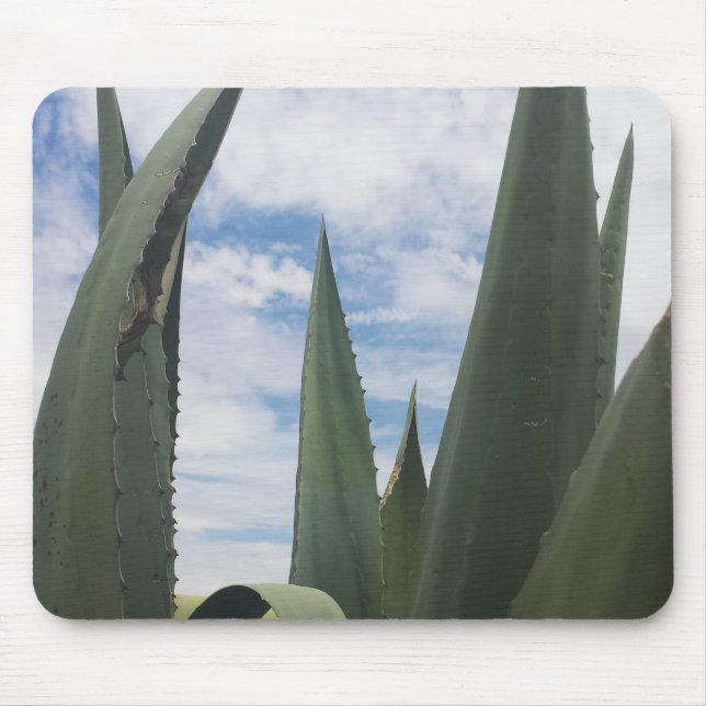 Agave Clouds Musmatta (Framsidan)