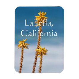 Agave från oceanen La Jolla, Kalifornien Magnet