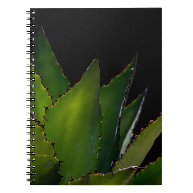 Agave glow anteckningsbok med spiral (Framsidan)