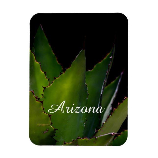 Agave glow Arizona Magnet (Vertikal)