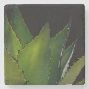 Agave glow underlägg sten