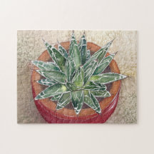 Agave in pot jigszons puzzle