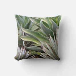 Agave kudder vid Debra Lee Baldwin Kudde