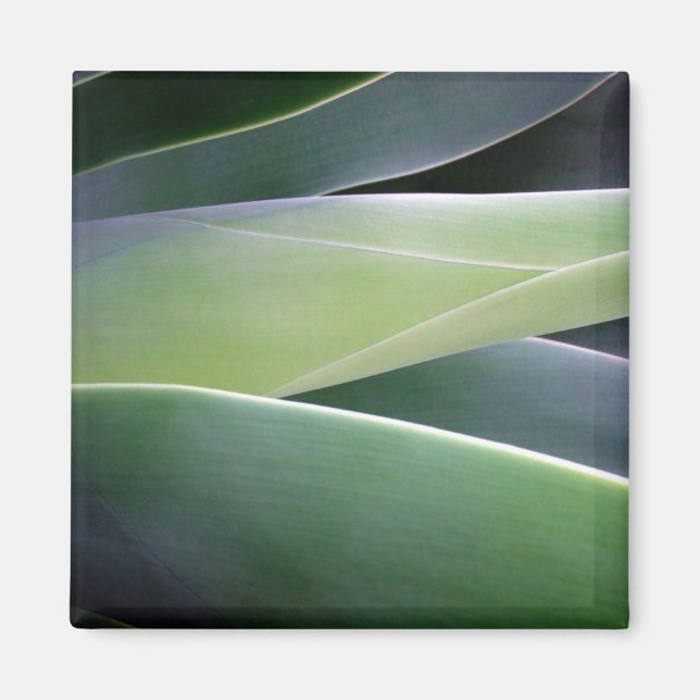 Agave Lövs Magnet (Framsidan)