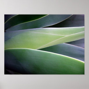 Agave Lövs Poster