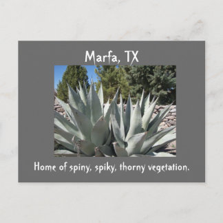 Agave Marfa, Texas Vykort