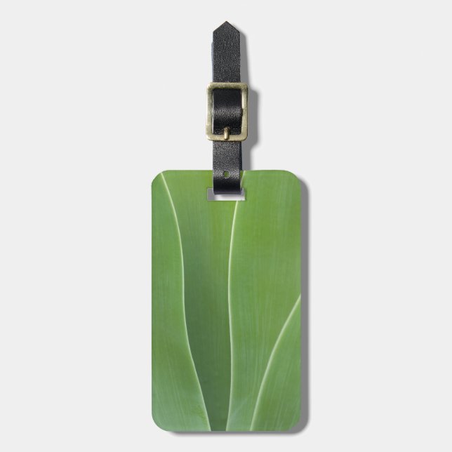 Agave Plant Close Bagagebricka (Vertikal Framsida)