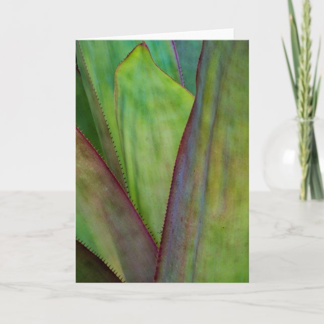 Agave Plant Detal Kort (Framsida)