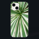 Agave Plant Grönt and White Stripe<br><div class="desc">Här är en bild i mitten av en Agave-anläggning från de konservatorierna vid Brookside Garden. Vägledningen förklarade för oss att detta är den fabrik som används för att tillverka tequila. Det här fotot visas också som "Agave Plant" i widescreen tapet från MLeWallpapers.com.</div>