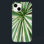 Agave Plant Grönt and White Stripe<br><div class="desc">Här är en bild i mitten av en Agave-anläggning från de konservatorierna vid Brookside Garden. Vägledningen förklarade för oss att detta är den fabrik som används för att tillverka tequila. Det här fotot visas också som "Agave Plant" i widescreen tapet från MLeWallpapers.com.</div>