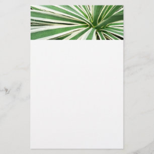 Agave Plant Grönt and White Stripe Brevpapper