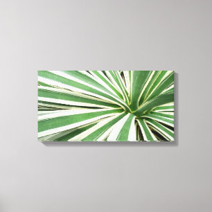 Agave Plant Grönt and White Stripe Canvastryck