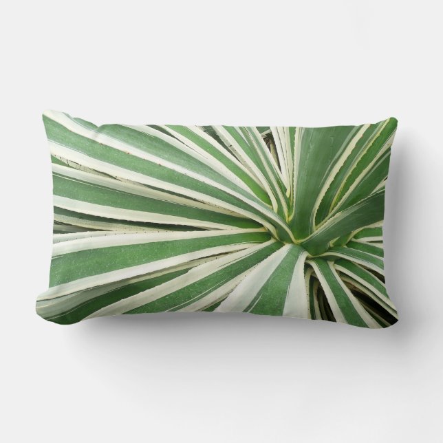 Agave Plant Grönt and White Stripe Lumbarkudde (Framsida)