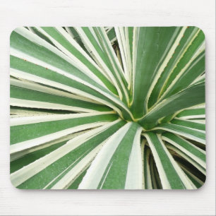Agave Plant Grönt and White Stripe Musmatta