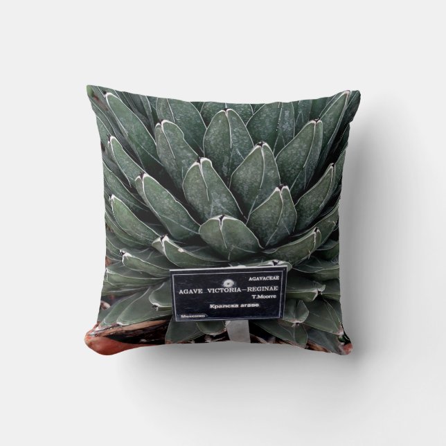Agave Plant Photo Throw Cushion 41 cm x 41 cm Kudde (Framsida)