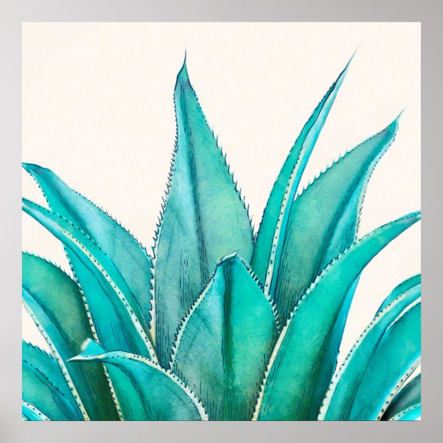 Agave Poster (Framsidan)