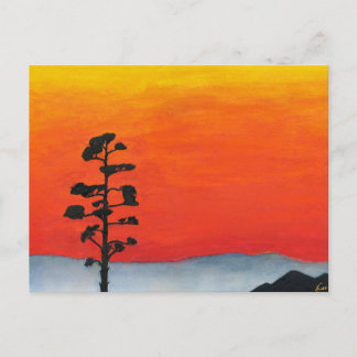 Agave Solnedgång Vykort
